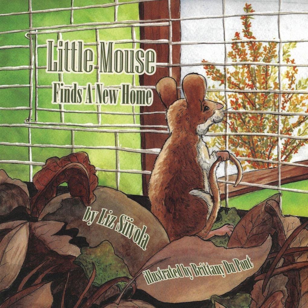 Little Mouse Finds a New Home
