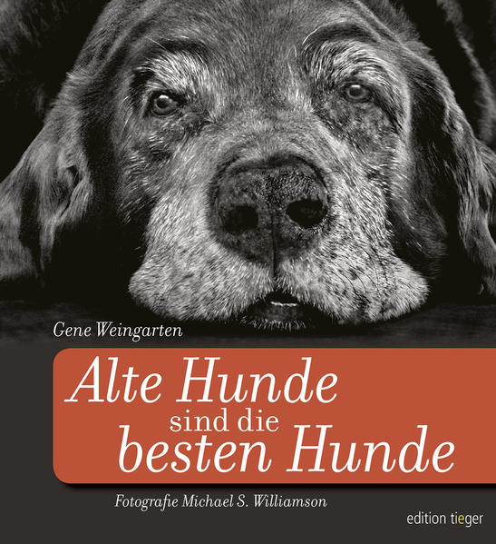 Image of Alte Hunde sind die besten Hunde