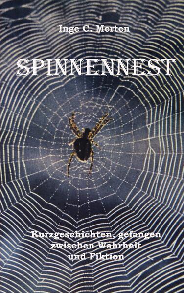 Spinnennest