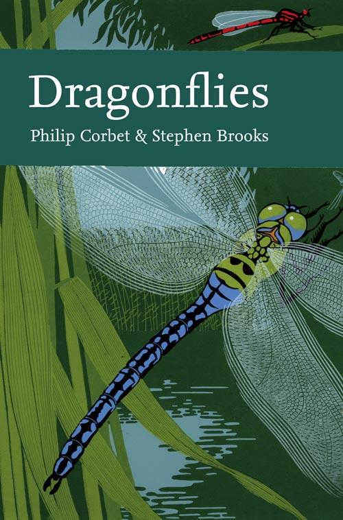 Dragonflies