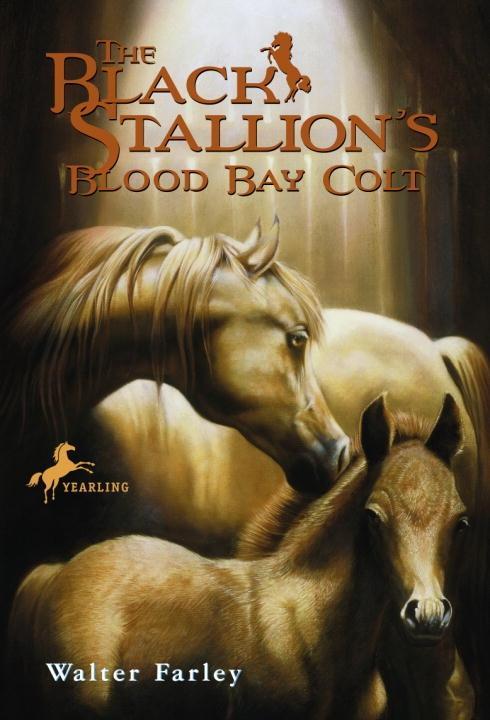 The Black Stallion‘s Blood Bay Colt