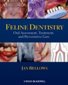 Feline Dentistry als eBook Download von Jan Bellows - Jan Bellows