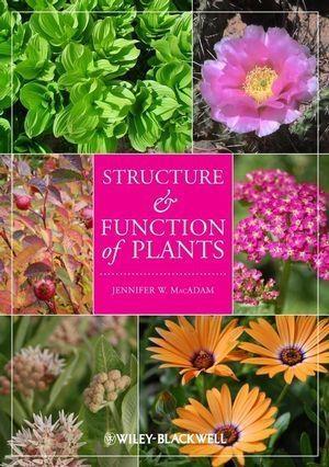 Structure and Function of Plants als eBook Download von Jennifer W. MacAdam - Jennifer W. MacAdam