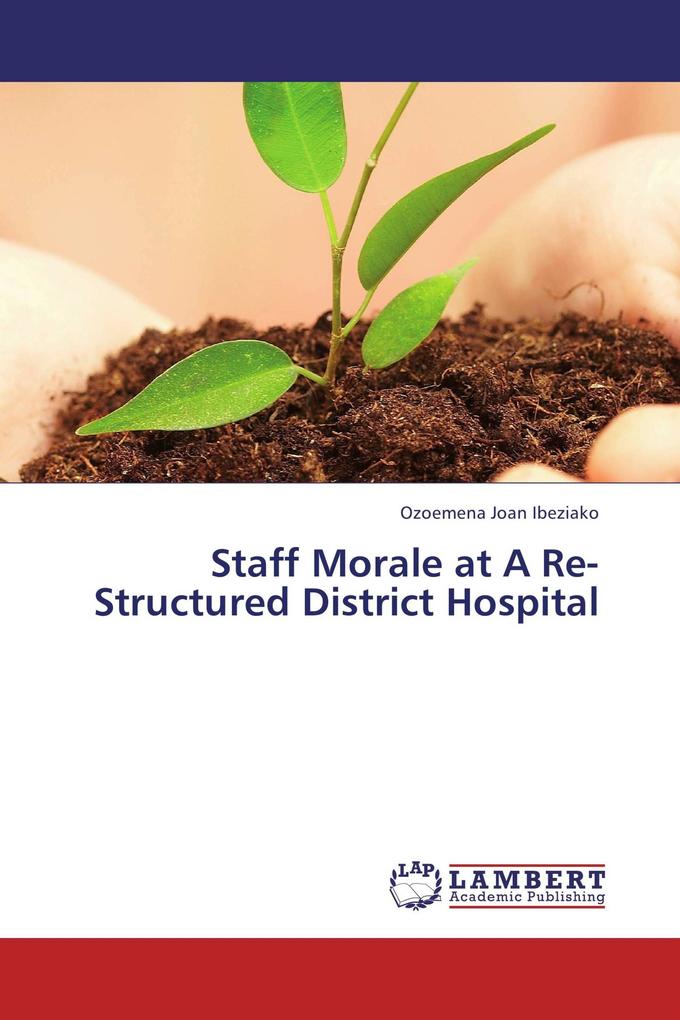 Staff Morale at A Re-Structured District Hospital