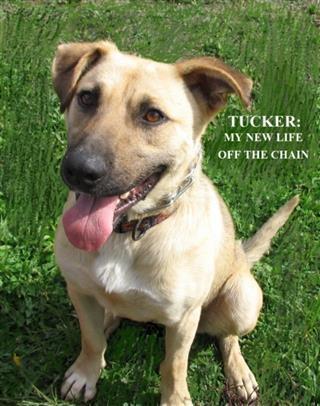 Tucker: My New Life Off The Chain