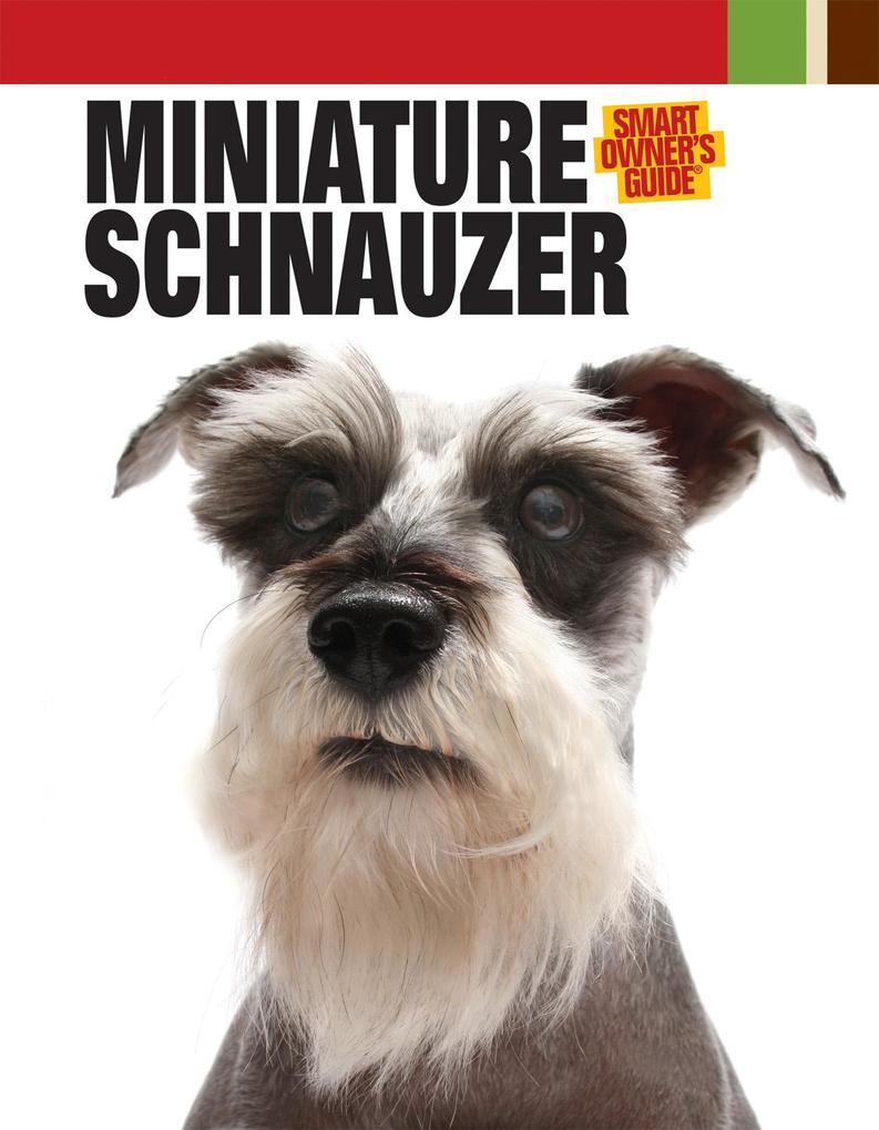 Miniature Schnauzer - Dog Fancy Magazine