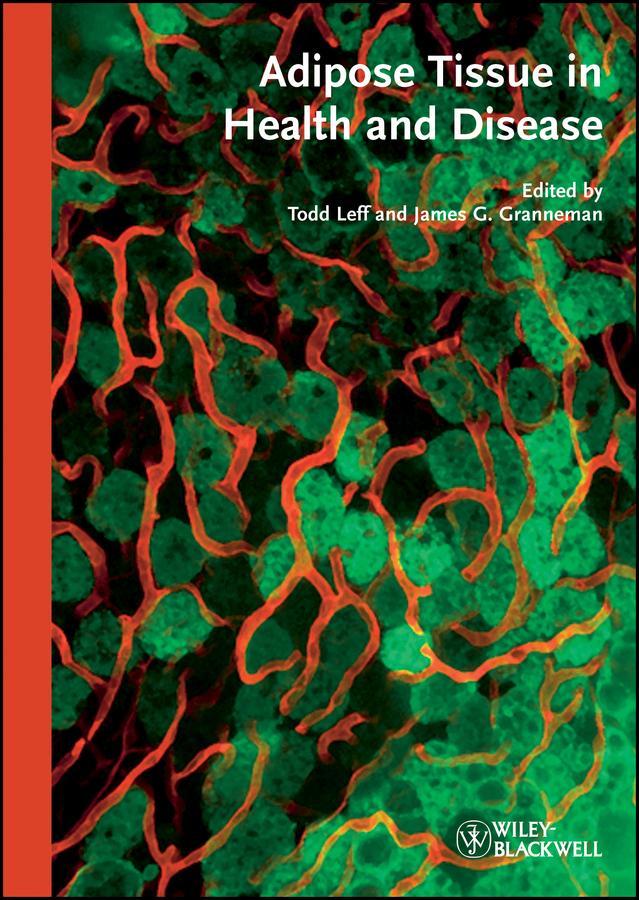 Adipose Tissue in Health and Disease