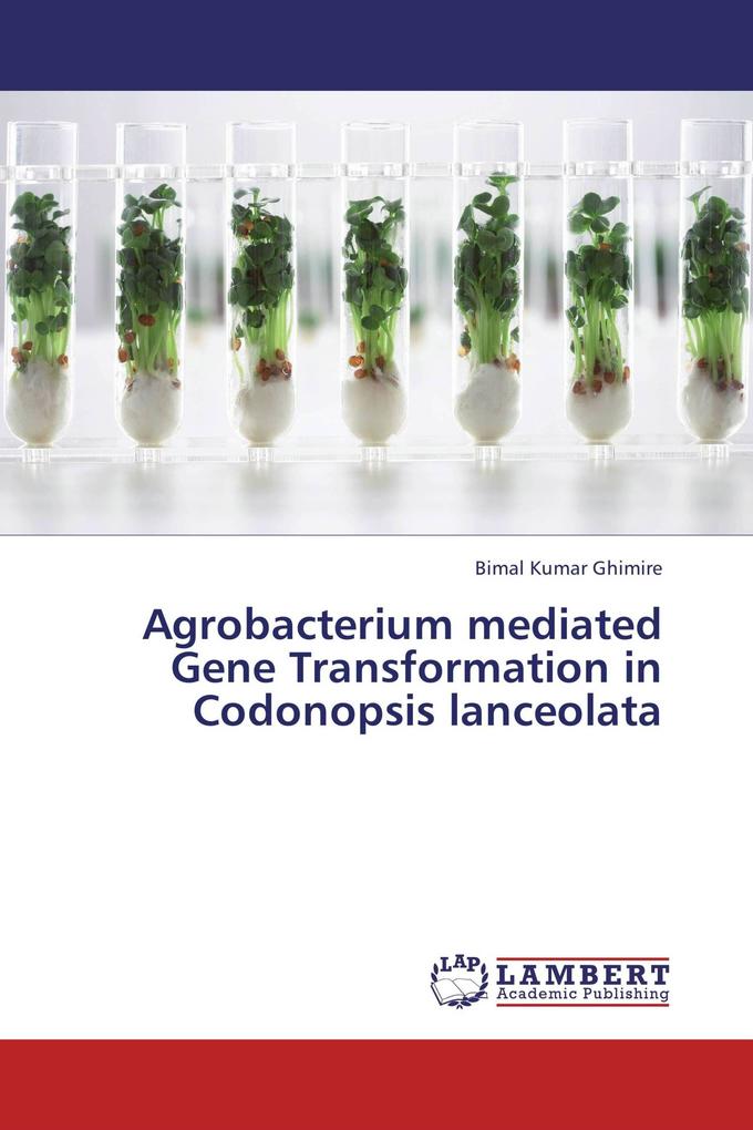 Agrobacterium mediated Gene Transformation in Codonopsis lanceolata