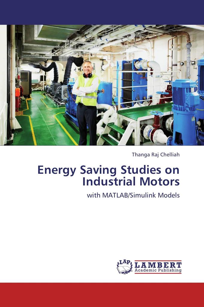 Energy Saving Studies on Industrial Motors