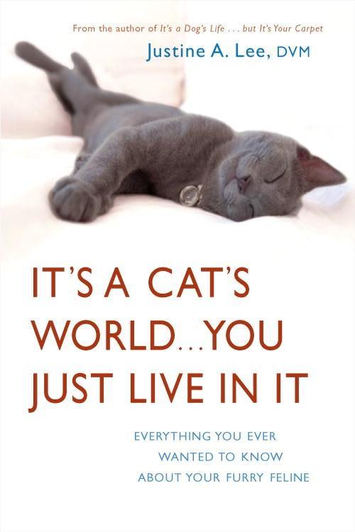 It‘s a Cat‘s World . . . You Just Live in It