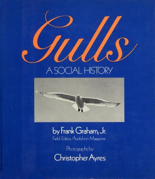 Gulls