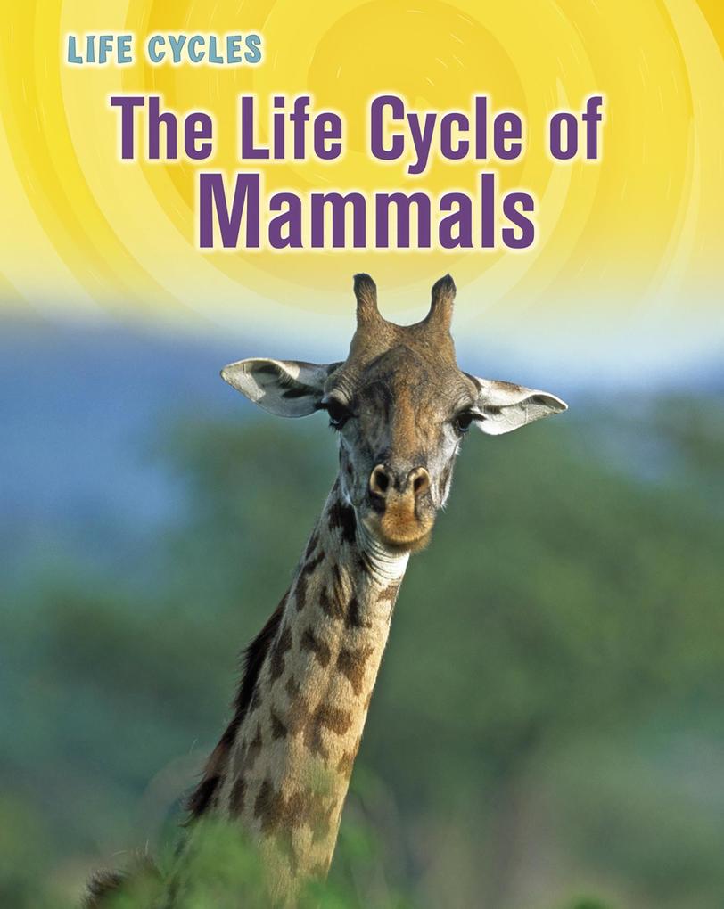 Life Cycle of Mammals