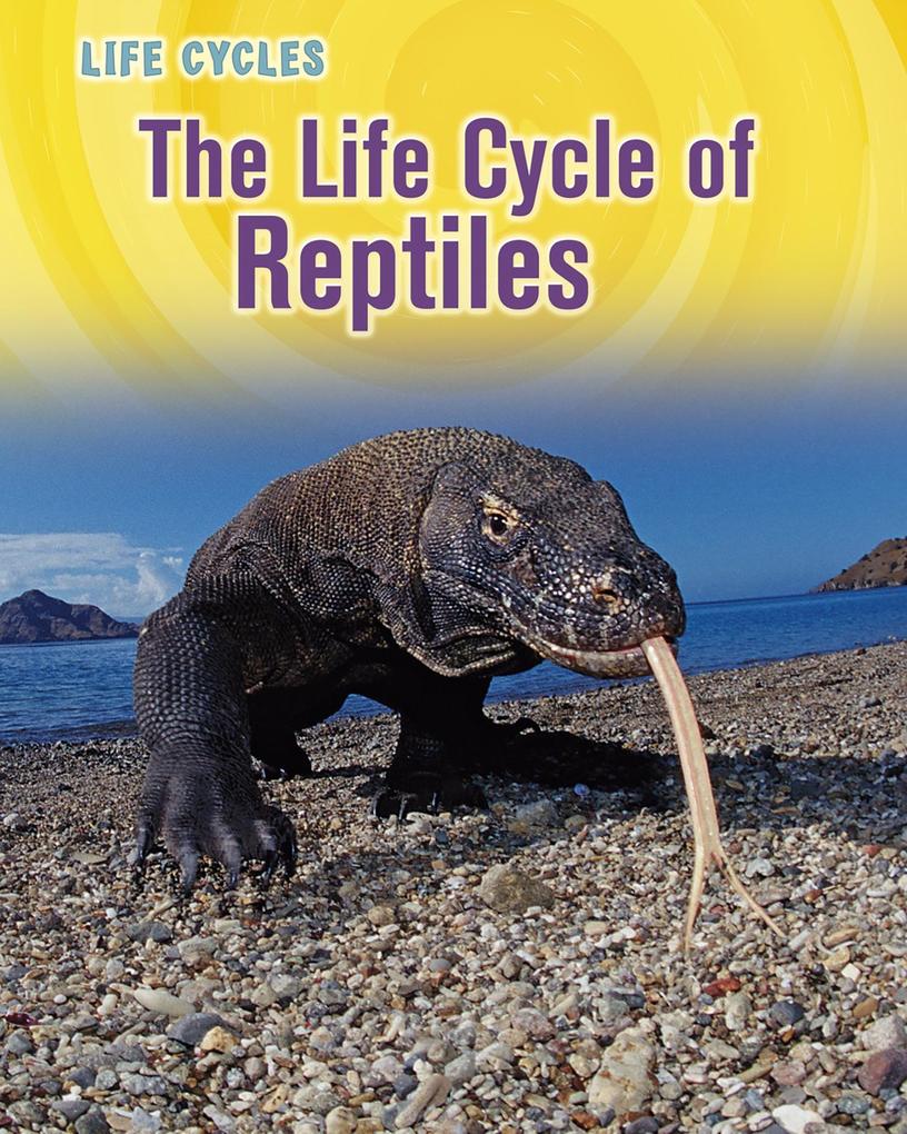 Life Cycle of Reptiles