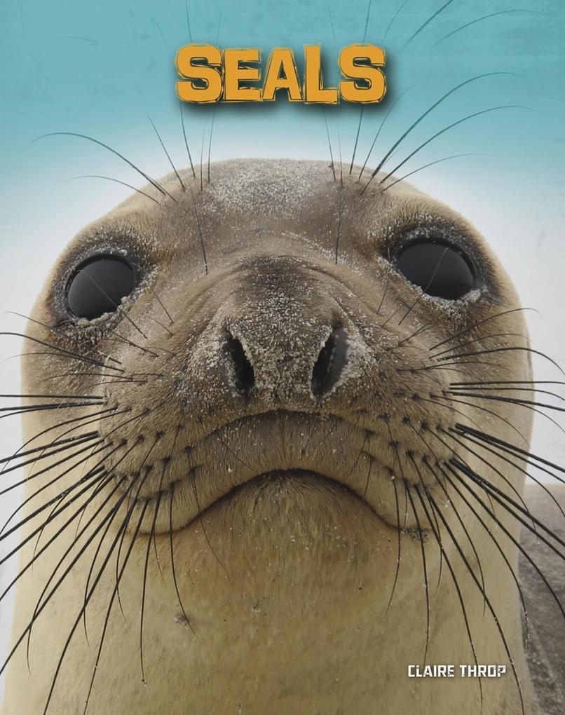 Sea Otters