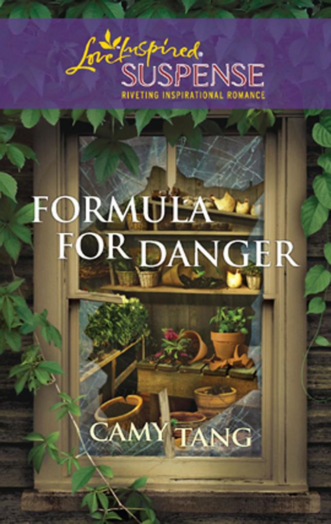Formula for Danger (Mills & Boon Love Inspired)