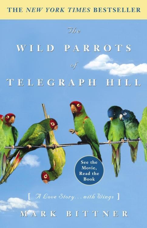 The Wild Parrots of Telegraph Hill - Mark Bittner