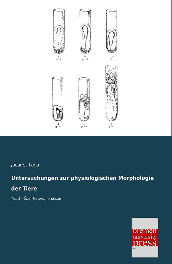 Untersuchungen zur physiologischen Morphologie der Tiere