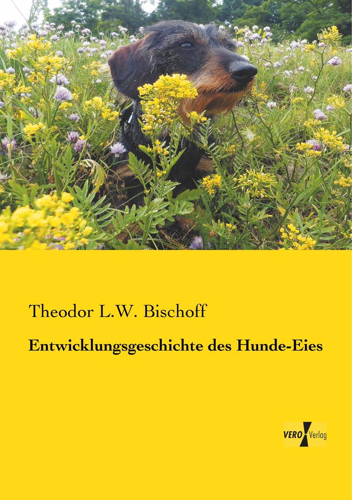 Entwicklungsgeschichte des Hunde-Eies