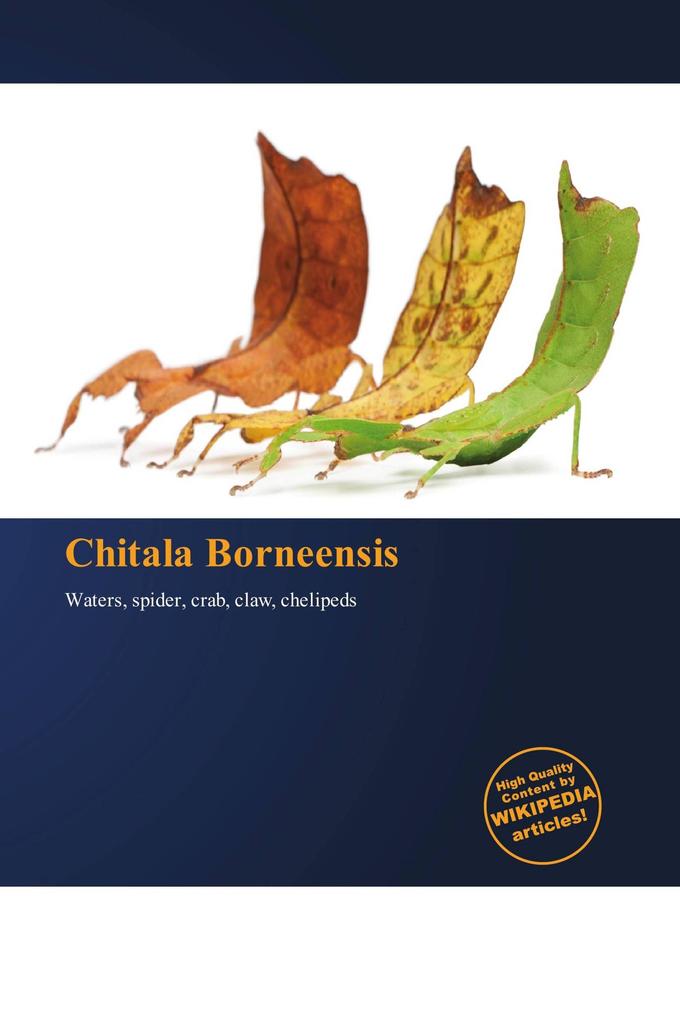 Chitala Borneensis