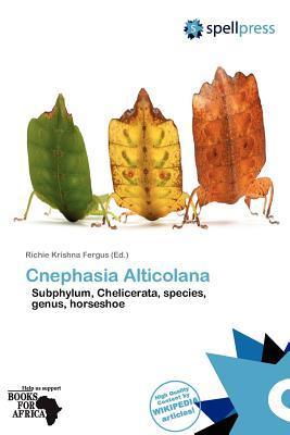 Cnephasia Alticolana