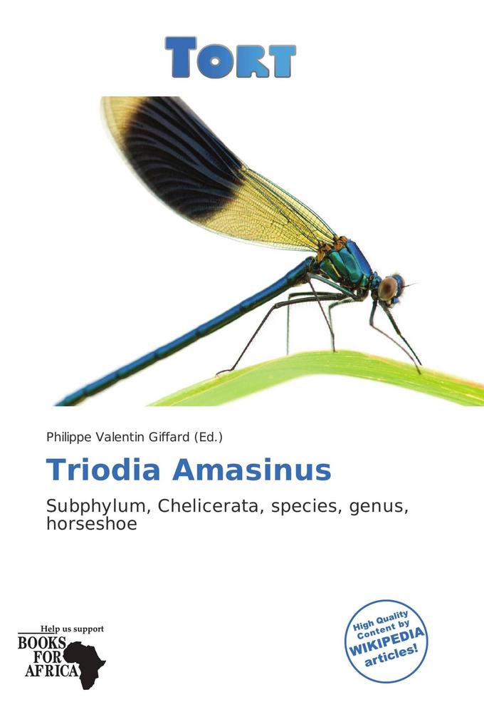 Triodia Amasinus