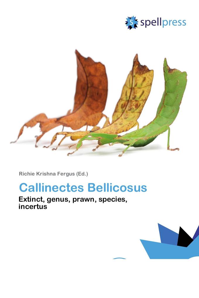 Callinectes Bellicosus