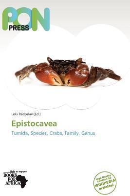 Epistocavea