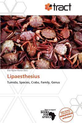 Lipaesthesius