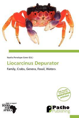 Liocarcinus Depurator