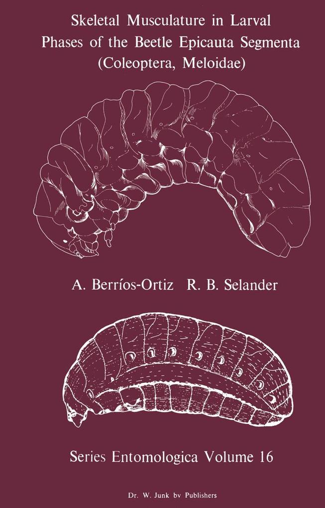 Skeletal Musculature in Larval Phases of the Beetle Epicauta Segmenta (Coleoptera Meloidae)