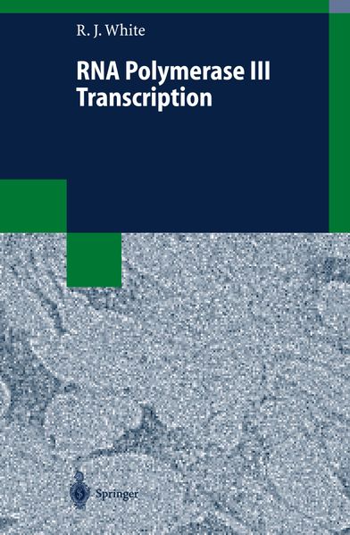 RNA Polymerase III Transcription