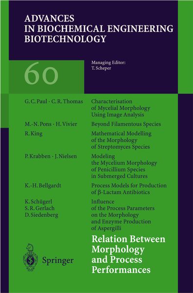 Relation Between Morphology and Process Performances