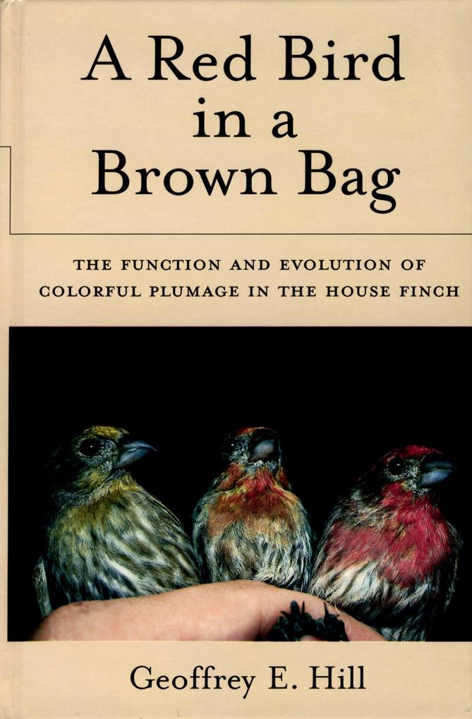 A Red Bird in a Brown Bag