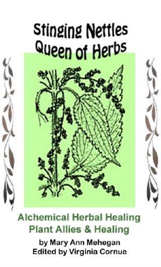 Stinging Nettles - Queen of Herbs