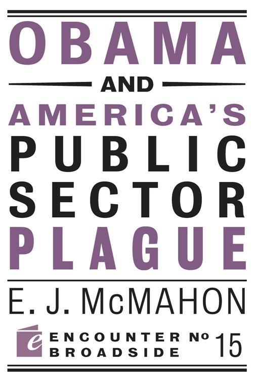 Obama and America‘s Public Sector Plague