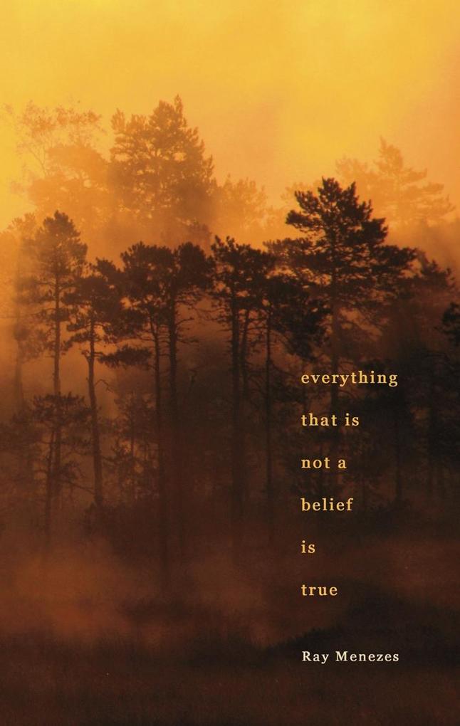 Everything That is Not a Belief is True