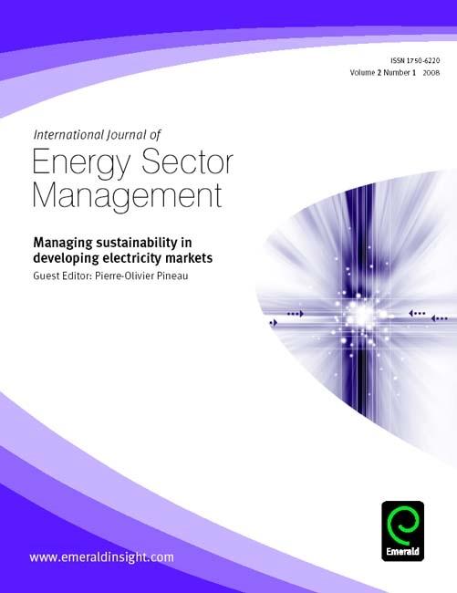 Managing Sustainability in Developing Electricity Markets