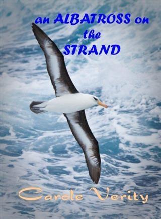Albatross on the Strand