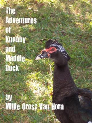 Adventures Of Knobby And Maddie Duck