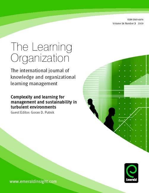 Complexity and learning for management and sustainability in turbulent environments