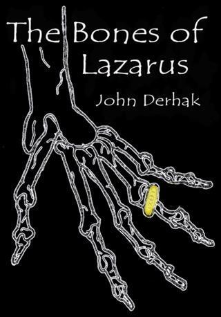Bones of Lazarus