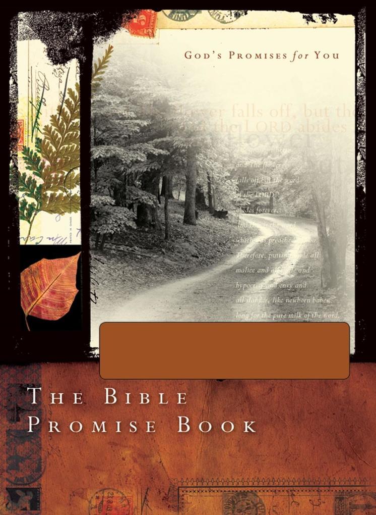 Bible Promise Book - NLV Gift Edition