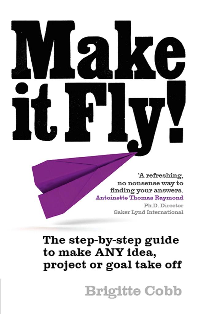 Make It Fly! PDF eBook