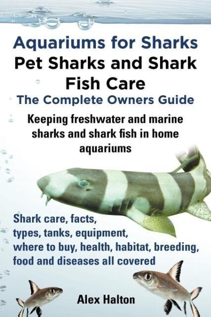 Aquariums for Sharks. Keeping Aquarium Sharks and Shark Fish. Shark Care Tanks Species Health Food Equipment Breeding Freshwater and Marine All