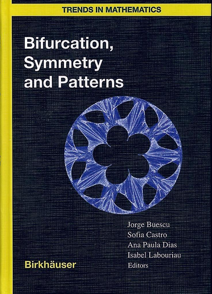Bifurcation Symmetry and Patterns