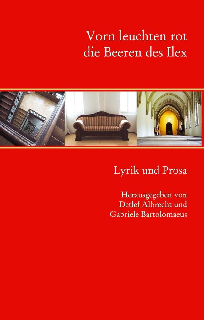 Vorn leuchten rot die Beeren des Ilex als eBook Download von