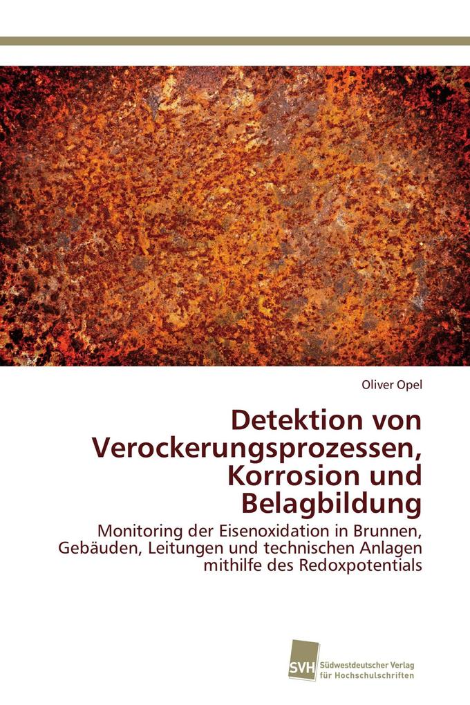 Detektion von Verockerungsprozessen Korrosion und Belagbildung