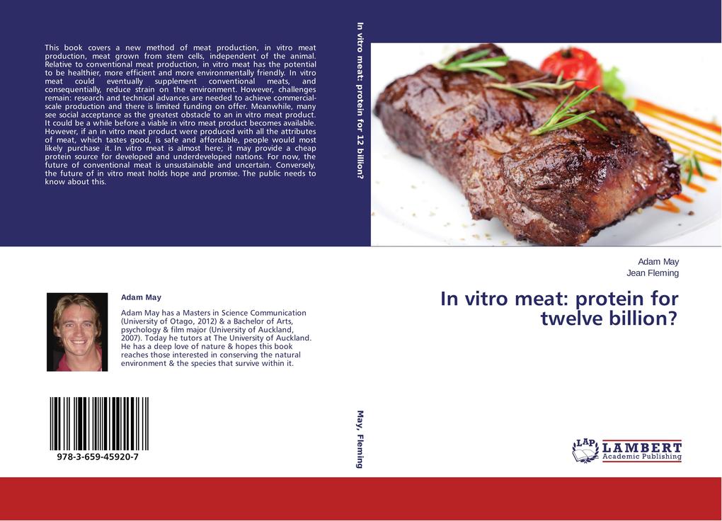 In vitro meat: protein for twelve billion?