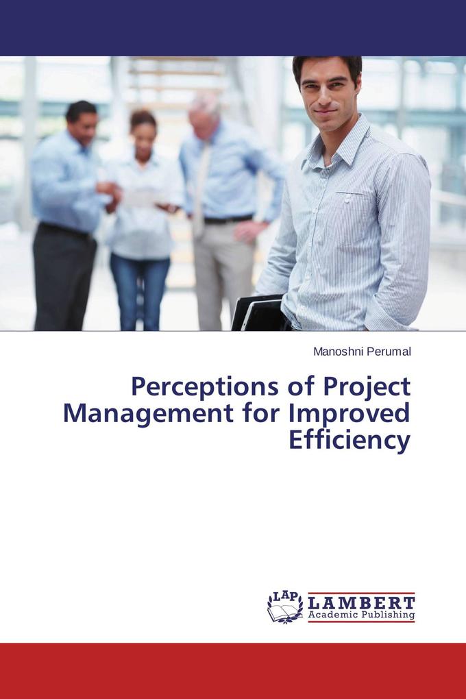 Perceptions of Project Management for Improved Efficiency