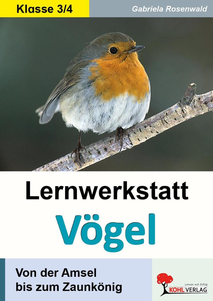 Lernwerkstatt Vögel (GS)